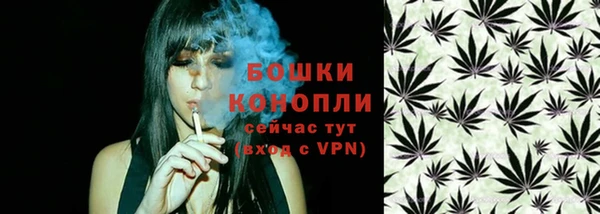 прущие крисы Новозыбков