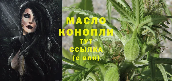 прущие крисы Новозыбков
