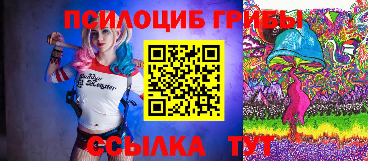Псилоцибиновые грибы Psilocybe  Вход с VPN  Псилоцибиновые грибы Cubensis  Ревда 